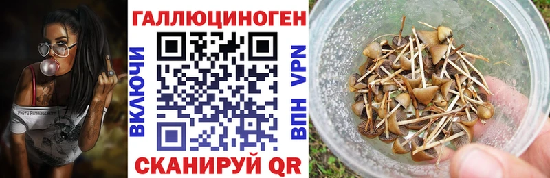 где купить наркоту  Удачный  Псилоцибиновые грибы Cubensis 